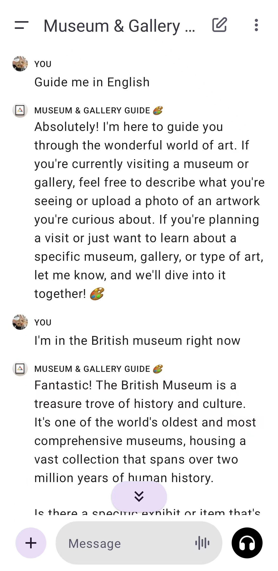 Museum & Gallery Guide
