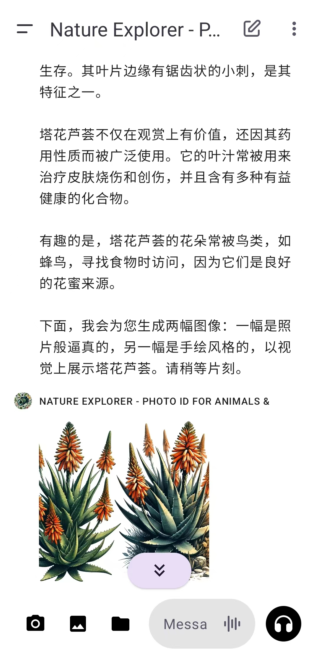 Nature Explorer（自然探索者）